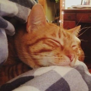 Meet your Posher, Otis